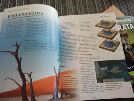 -záhady ľudstva, kniha, 