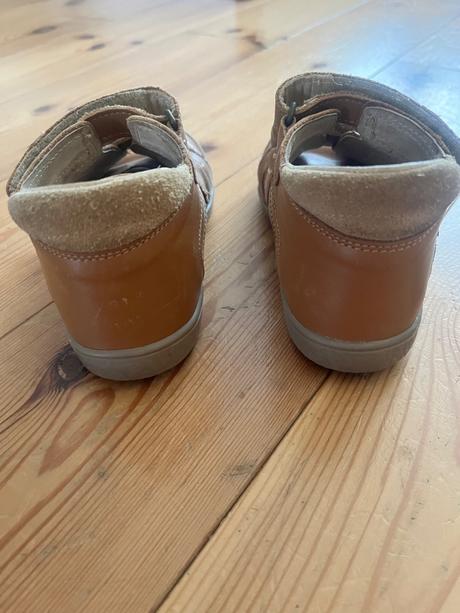 Rak celoročne topanky, rak,27