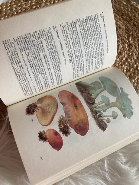 Taschenbuch für pilzfreunde (1987),