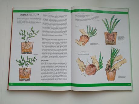 Pestujeme izbové rastliny, 