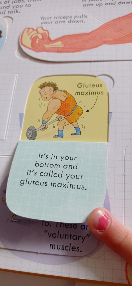 Usborne your body flap book,