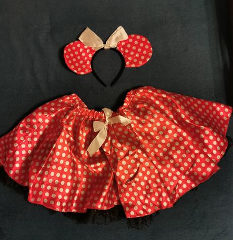 Karnevalový kostým č 6, 