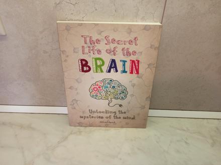 Alfred david - th secret life of the brain, 