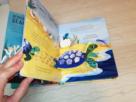 Curious kids pop ups sea & shore nau20, 