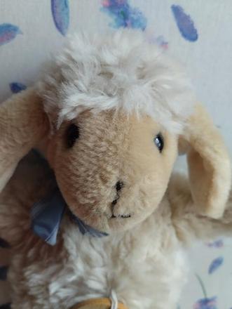 Ovečka - hrá melodiu,