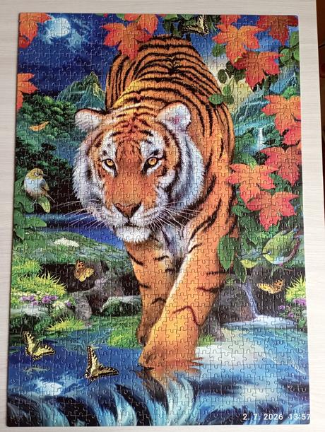 Puzzle tiger (už s poštovným),