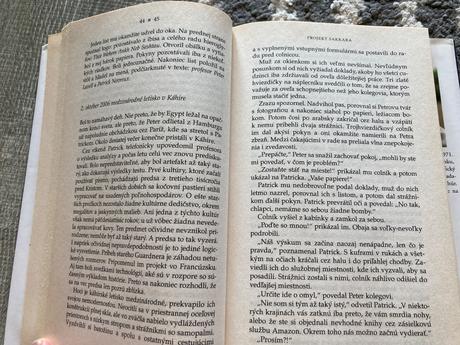 Projekt sakkara (2008),