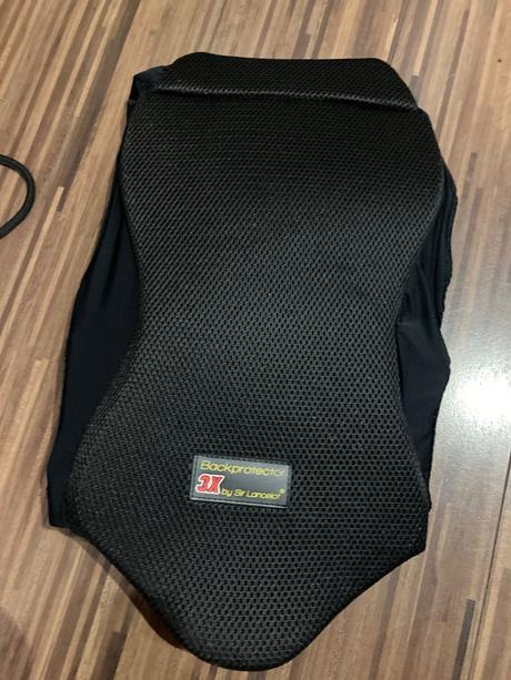 Jazdecka korytnacka,