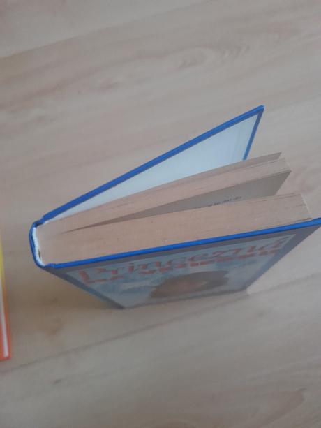 Meg cabotová - princezná na večierku,