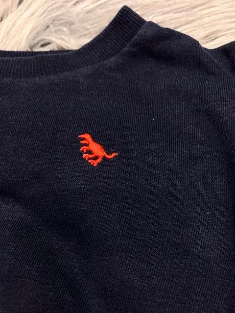 Chlapčenská mikina s dinosaurom (80), next,80