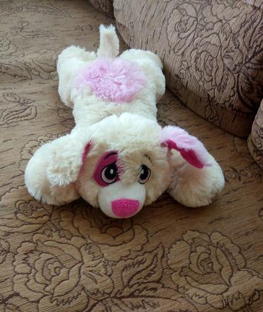 Roztomilé psíča s obojkom, 