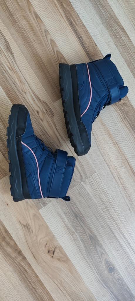 Snehule, puma,35