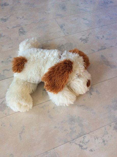 Veľký mäkký strapatý psík, 