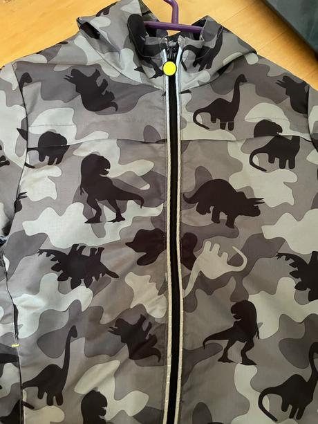 Vetrovka s dinosaurami, f&f,116