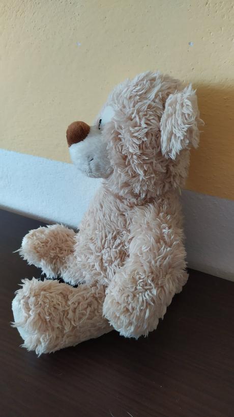 Plyšový medvedík, 