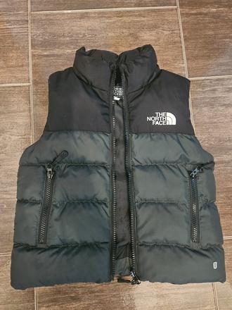 Vesta the north face, 104