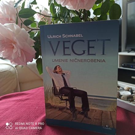 Veget umenie ničnerobenia,