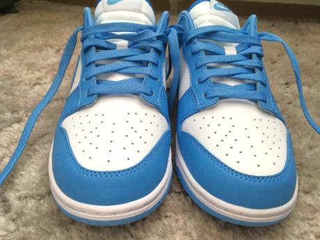 Tenisky nike dunk low veľ.42, nike,42