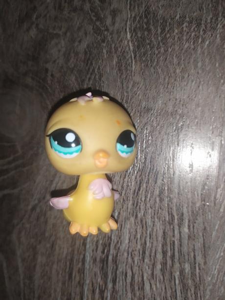 Lps littlest pet shop kuriatko, 