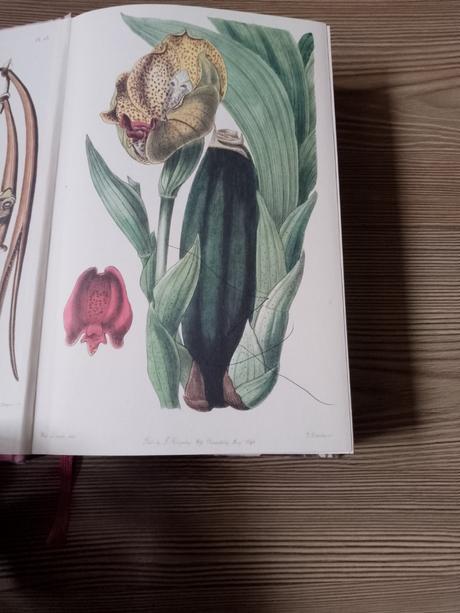 Elizabeth gilbert - podstata všetkých vecí, 