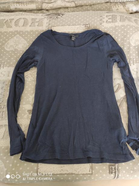 Modry natelnik amisu, amisu,m