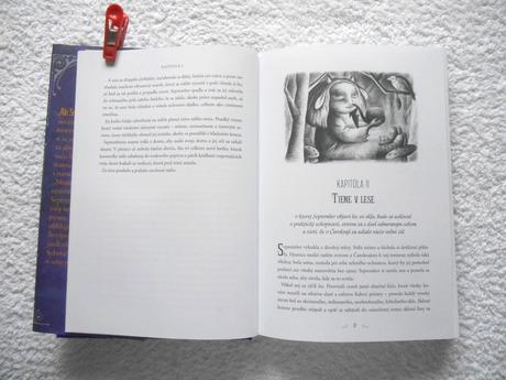 Kniha dievča ktoré spadlo pod čarokraj, 