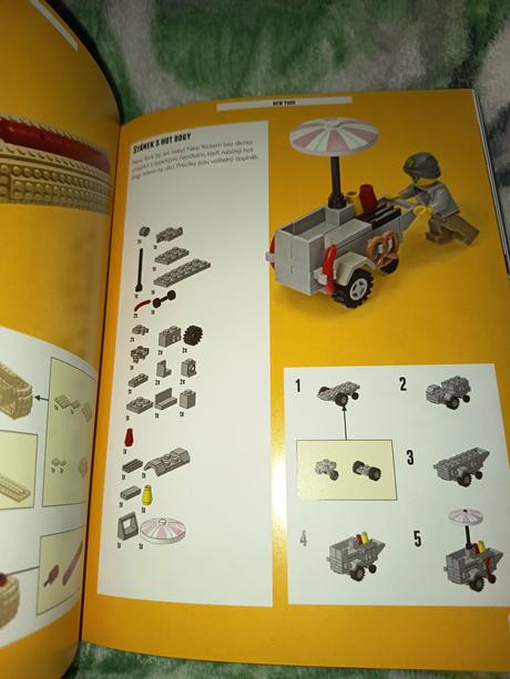 Kniha lego - cely svet jako na dlani,