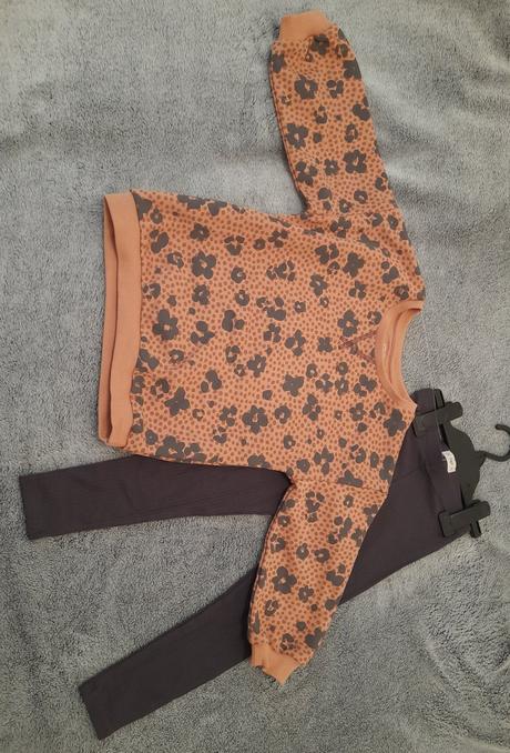 Predam domacu supravu, f&f,104