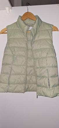 Vesta presivana, reserved,xs