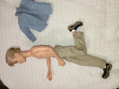 Barbie my scene chlapci ken, 