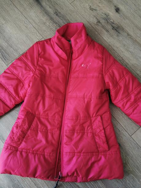 Puma bunda, puma,110