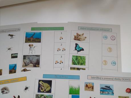 Montessori aktivity, 