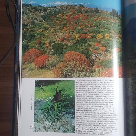 Prírodné divy sveta, 