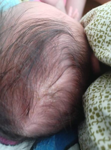 Synovi sa lúpe kožička