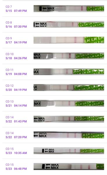 Aké sú moje ovulačné testy?