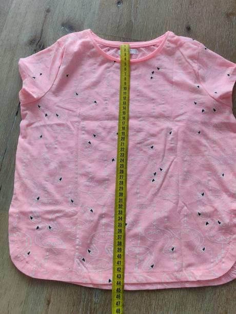 Tricko plameniak, 134