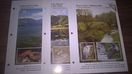 Karty z encyklopédie zvierat,