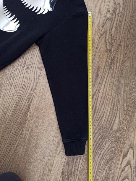 Mikina dinosaurus, h&m,122