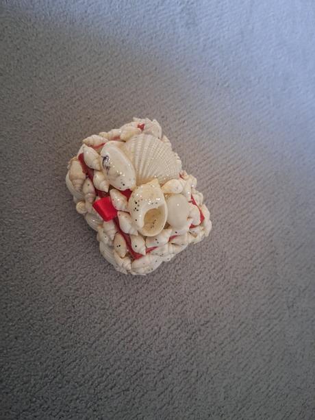 Šperkovnica mušle nádoba dekorácia box, 