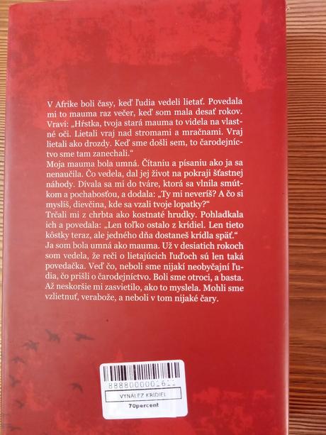 Vynález krídiel - sue monk kiddová,