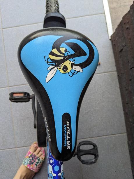 Kellys wasper, kellys,16