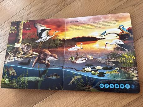 Kúzelné čítanie svet zvierat,