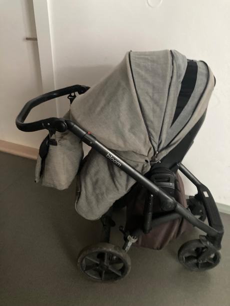 Kočík roan bloom, roan,roan bloom