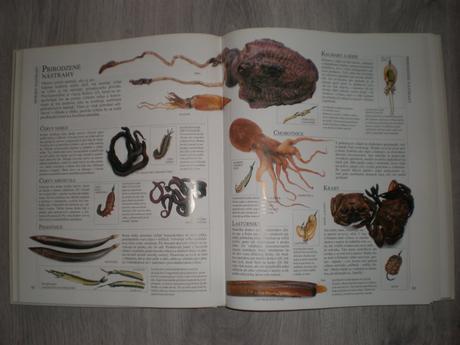 Kniha veľká obrázková encyklopédia rybárstva, 