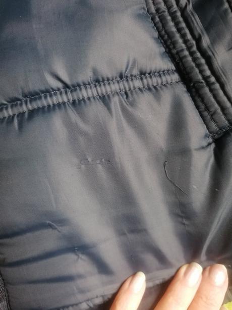 Vesta prechodna, 164