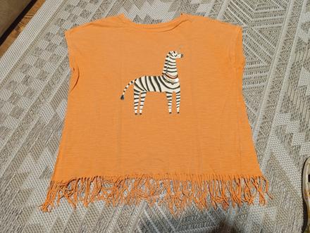 Tricko so zebrou, 164