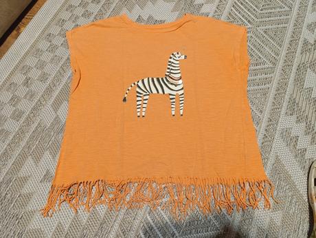Tricko so zebrou, 164
