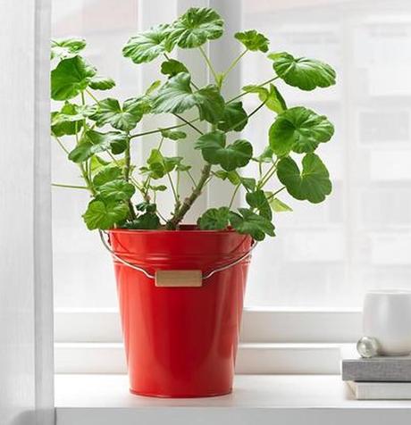 Červené plechové vedierko 2,5 l,