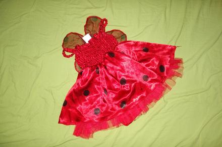 Lienkvoy kostymcek ladybird, 