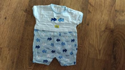 Opalovacky rybicky, 56